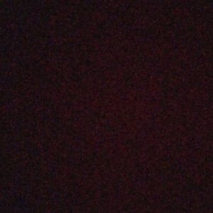 Meet your Posher, Vivien criscelle